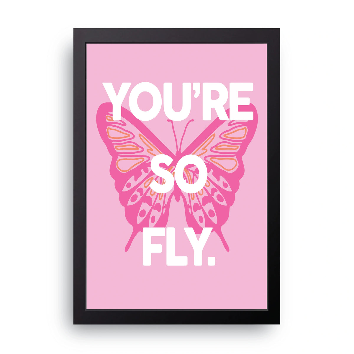 You're So Fly Frame