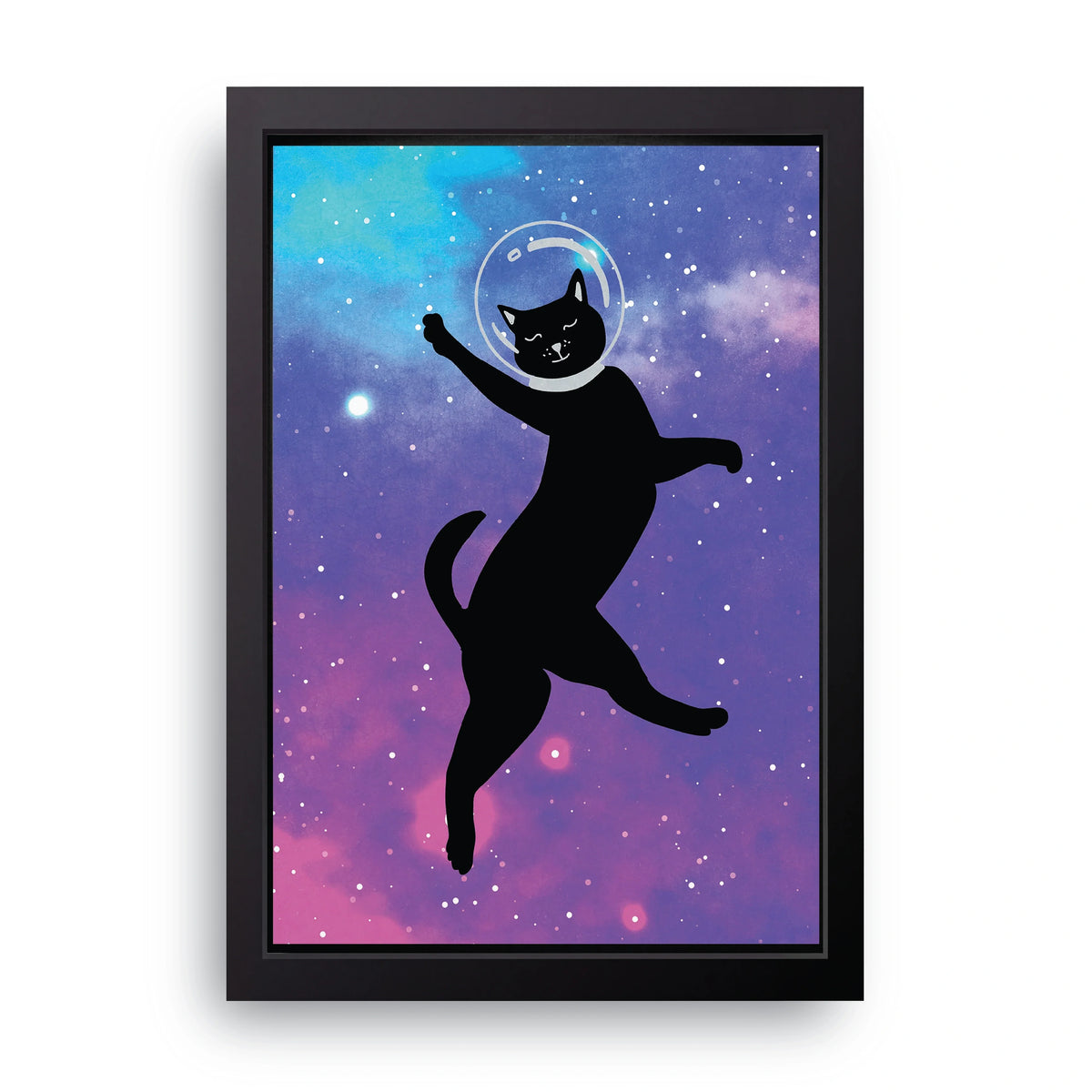 Space Cat Frame