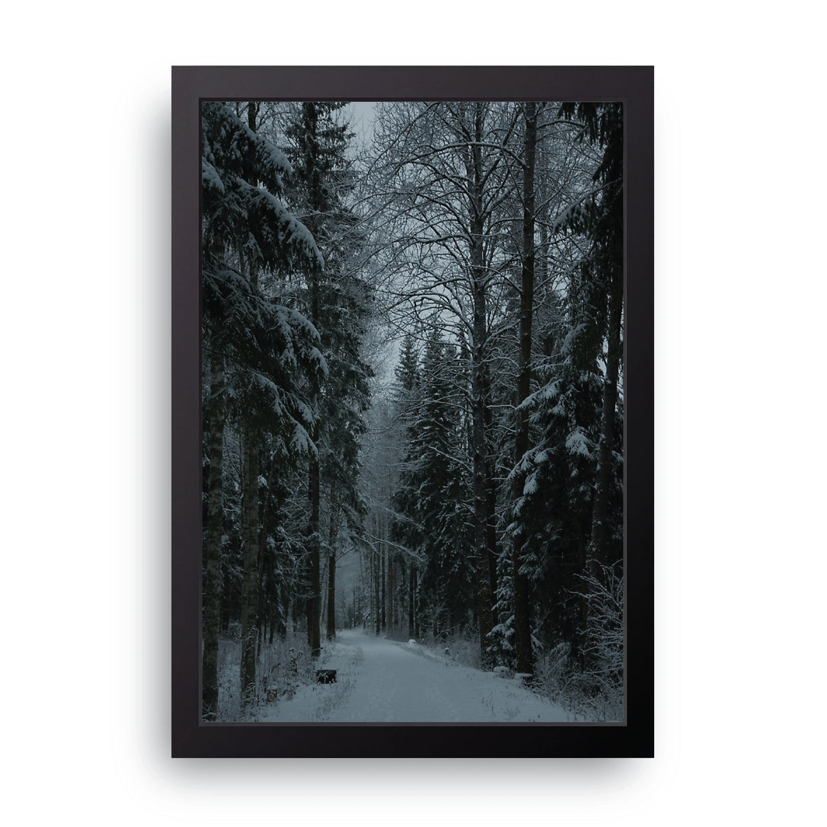 Winter Forest Frame