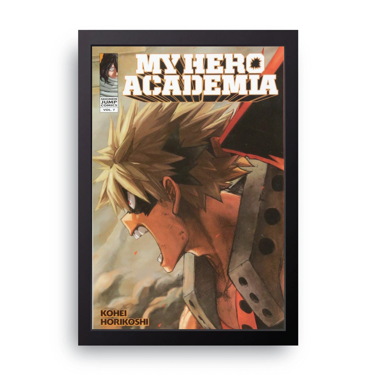 MY HERO ACADEMIA 10 Frame