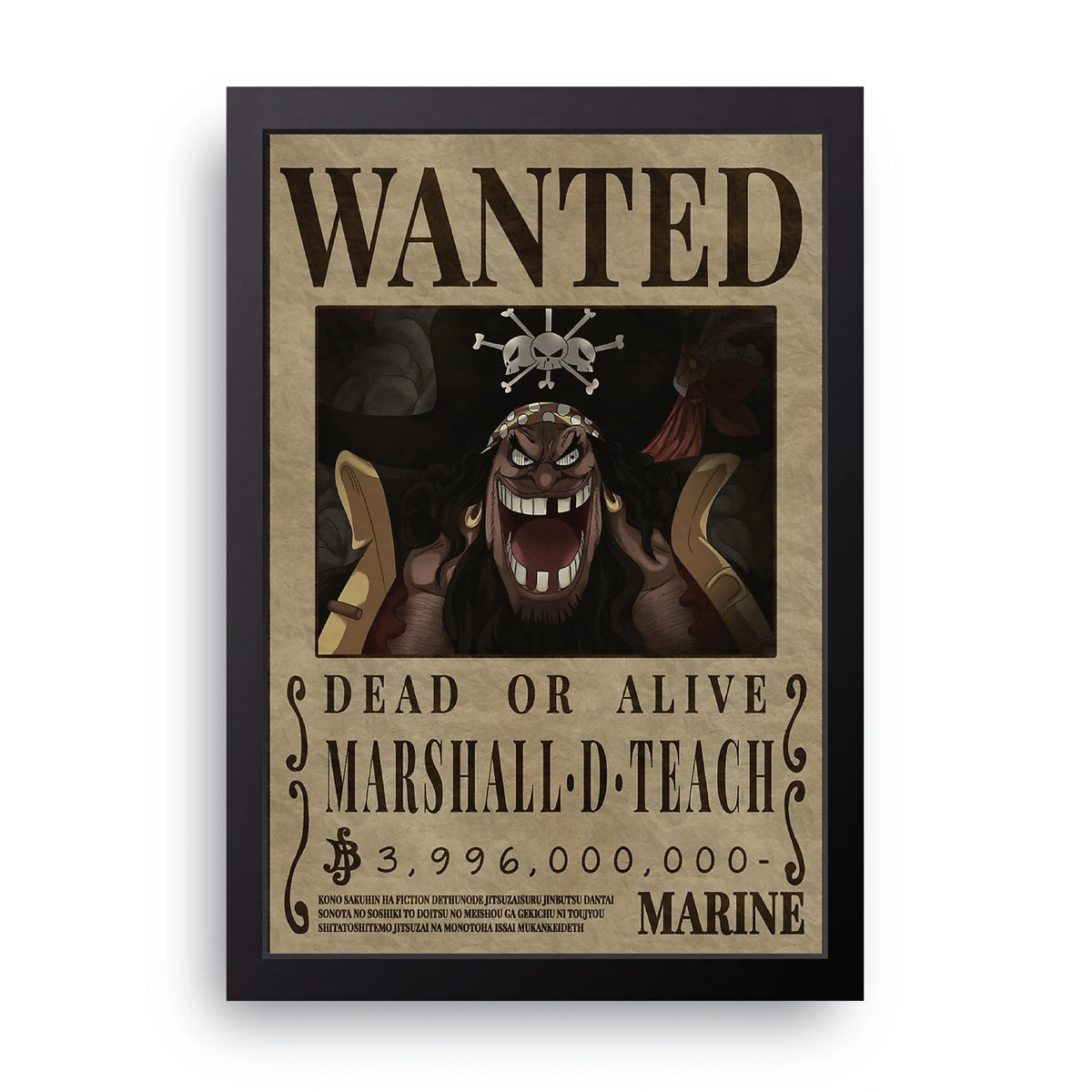 ONE PIECE (14) Frame
