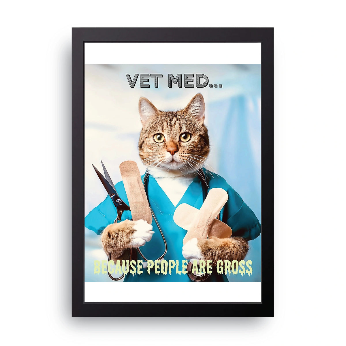 Vet Cat Frame