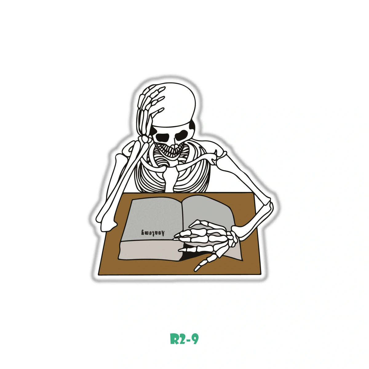 SKELETONE ANATOMY