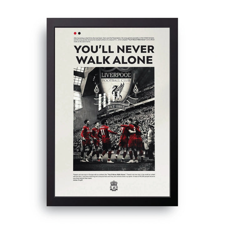 LIVERPOOL 10 Frame
