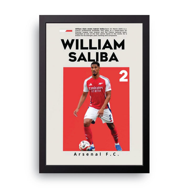 WILLIAM SALIBA Frame