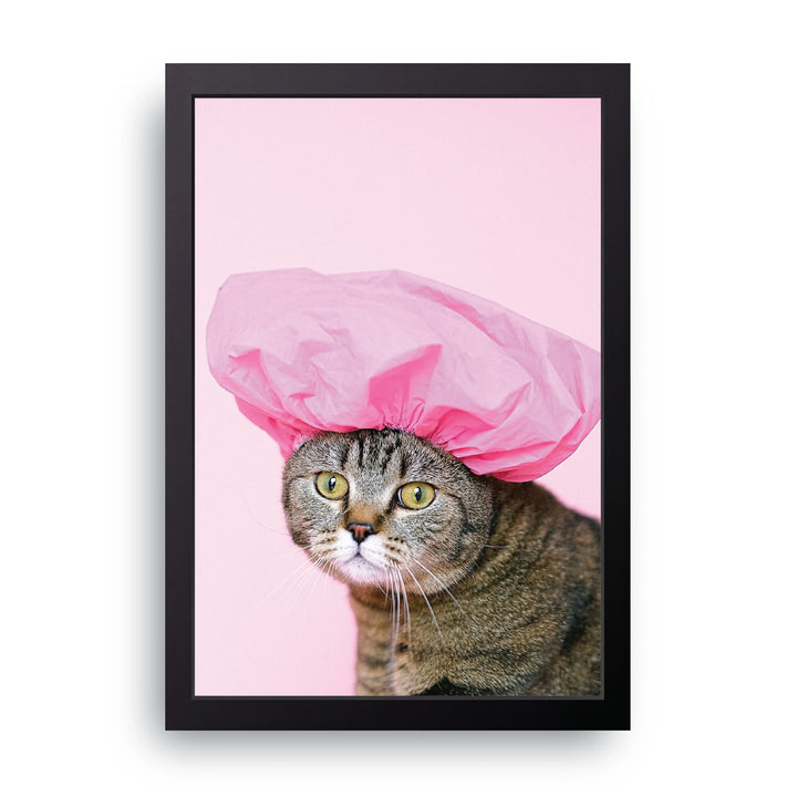 Shower Cap Cat Frame