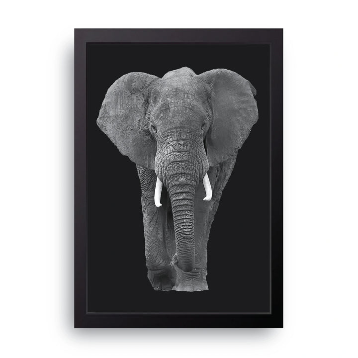 Elephant Portrait Frame