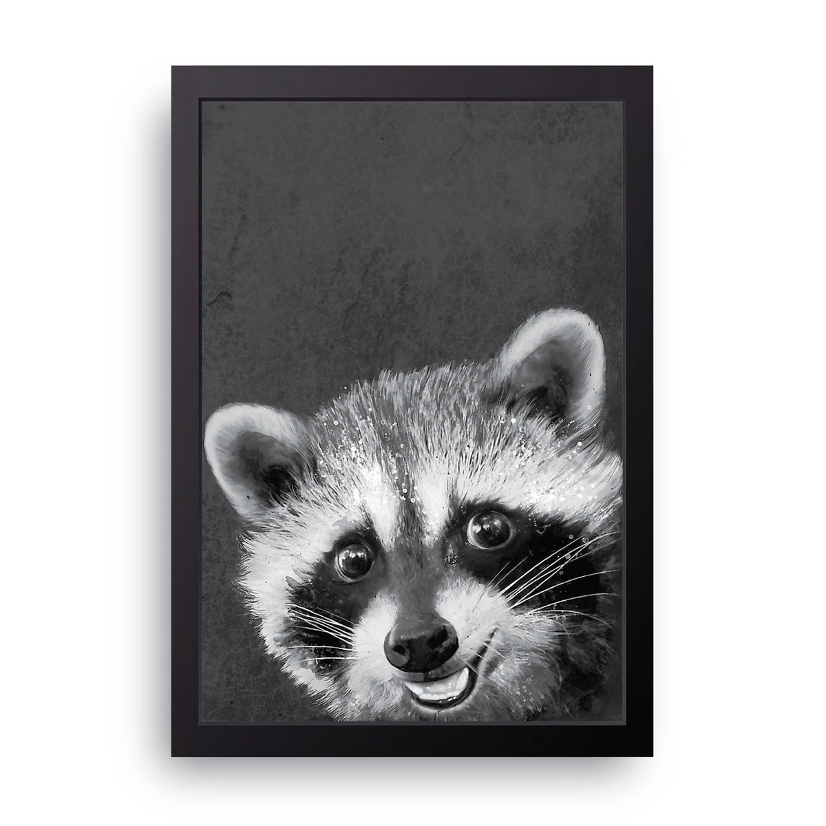 Baby Raccoon Frame