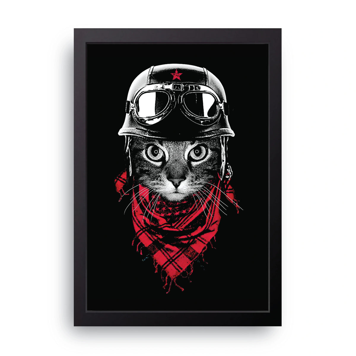 Biker Cat Frame
