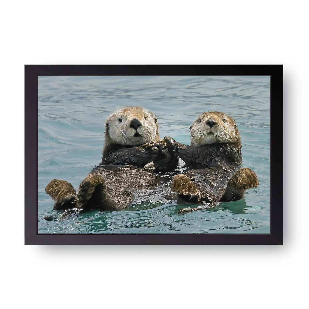 Sea Otters Frame