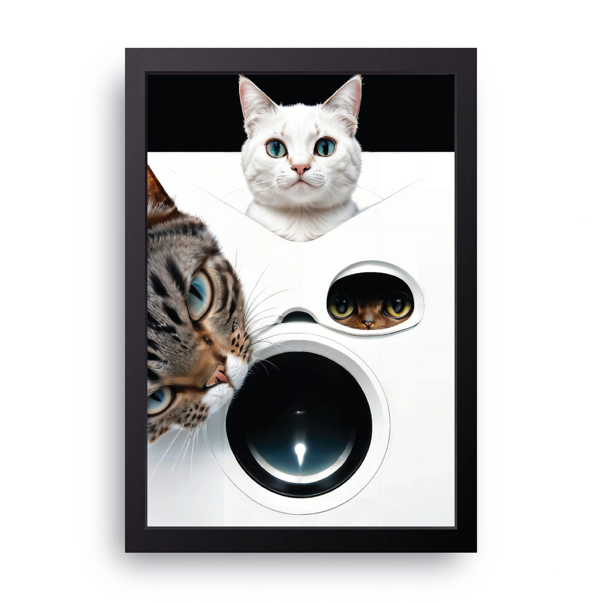 Cats And Washing Machine Frame