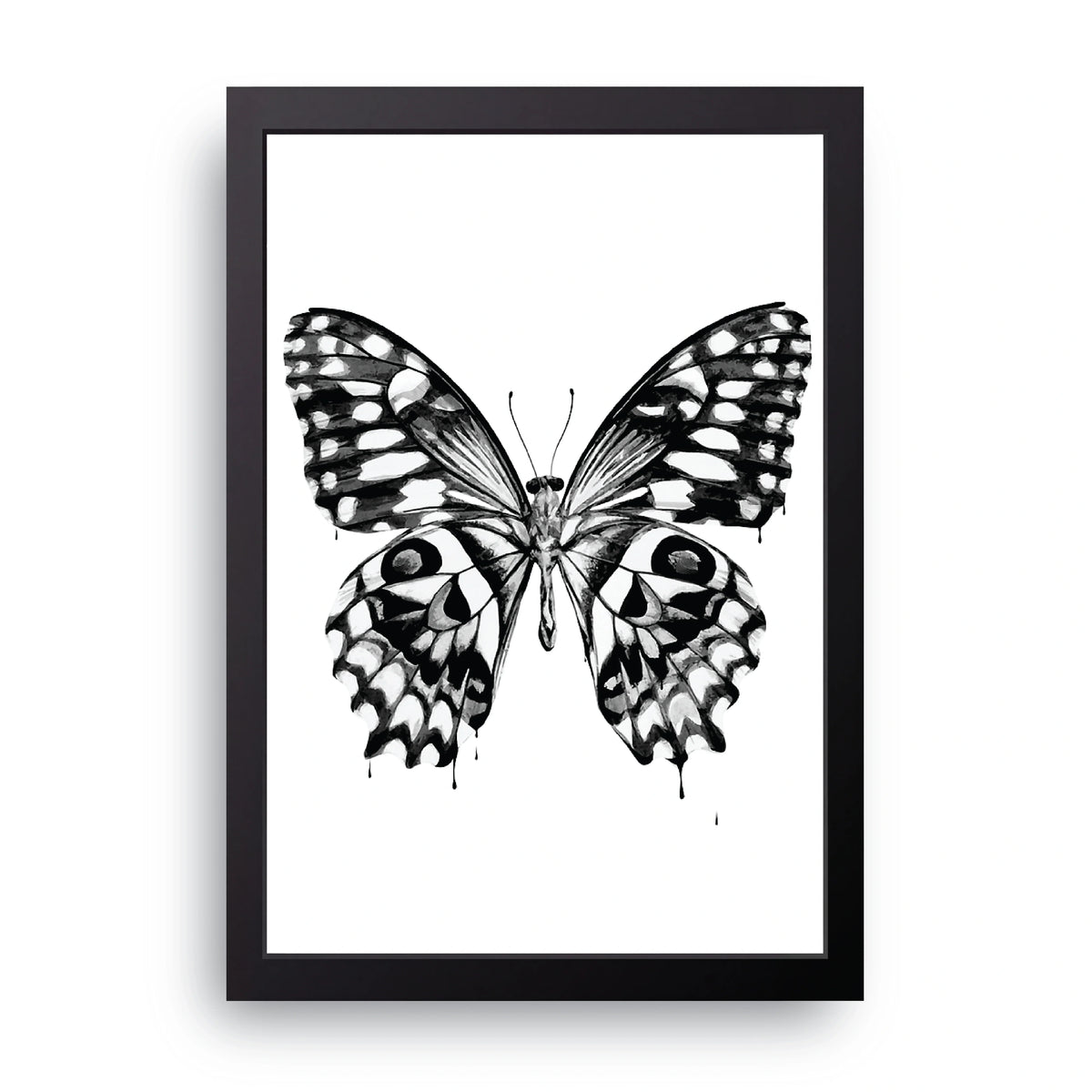 Mono Butterfly Frame