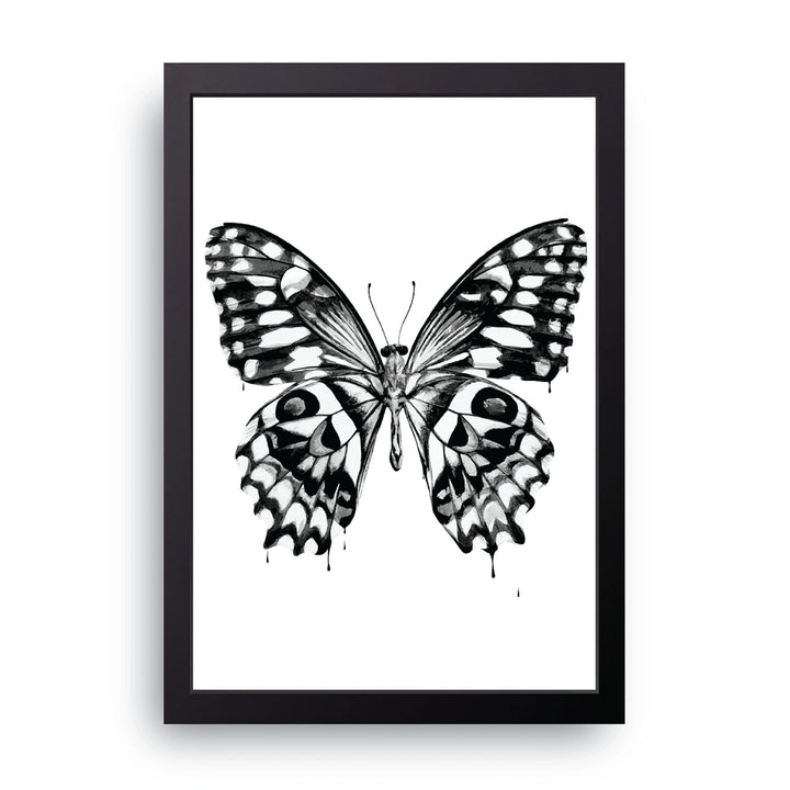 Mono Butterfly Frame