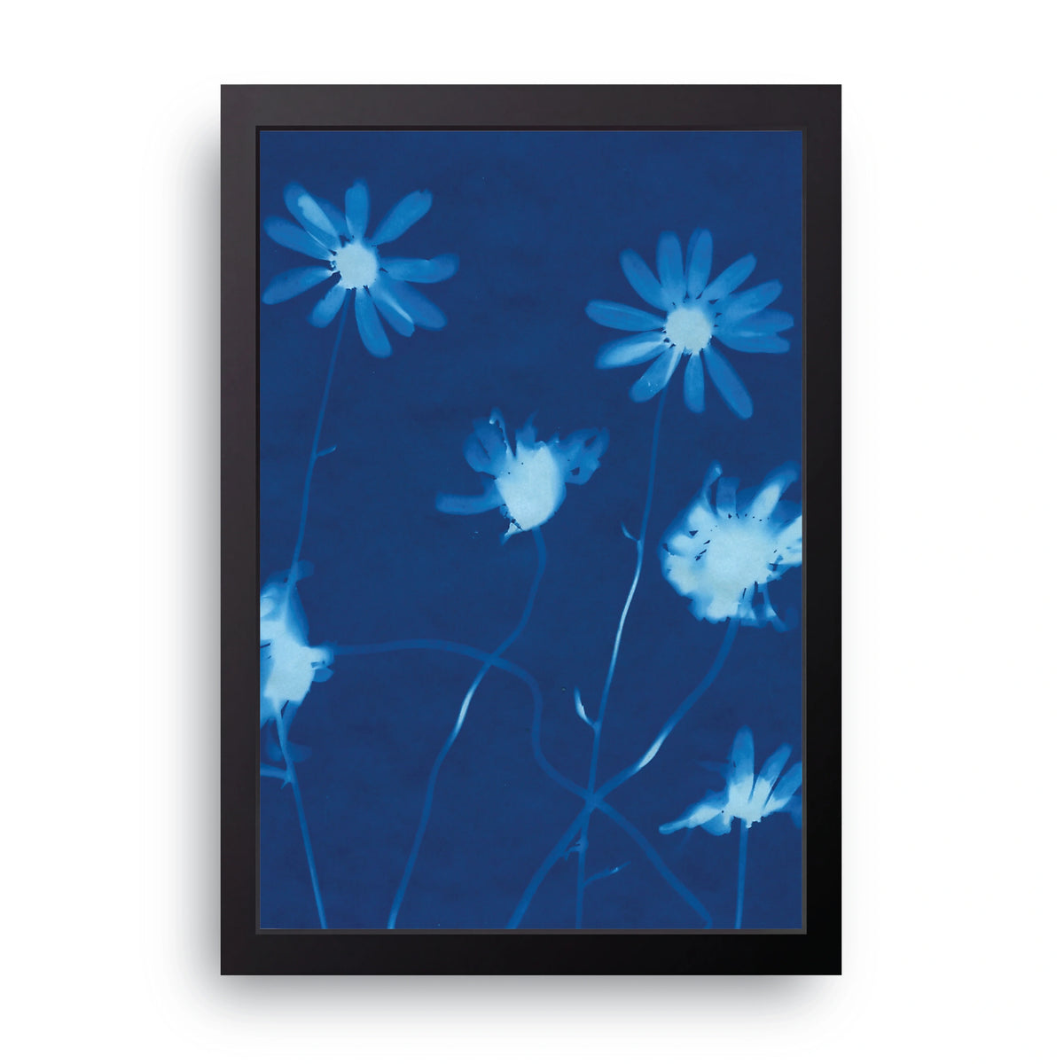 Blue Daisies Frame