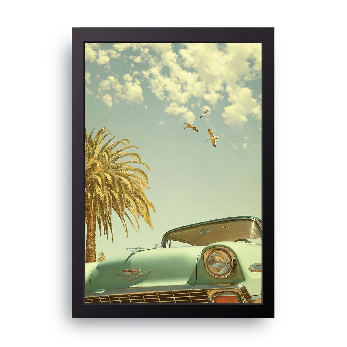 Palm Tree Cruiser Frame