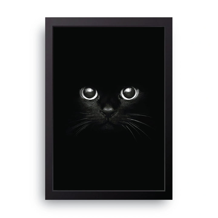 Cat Eyes Frame