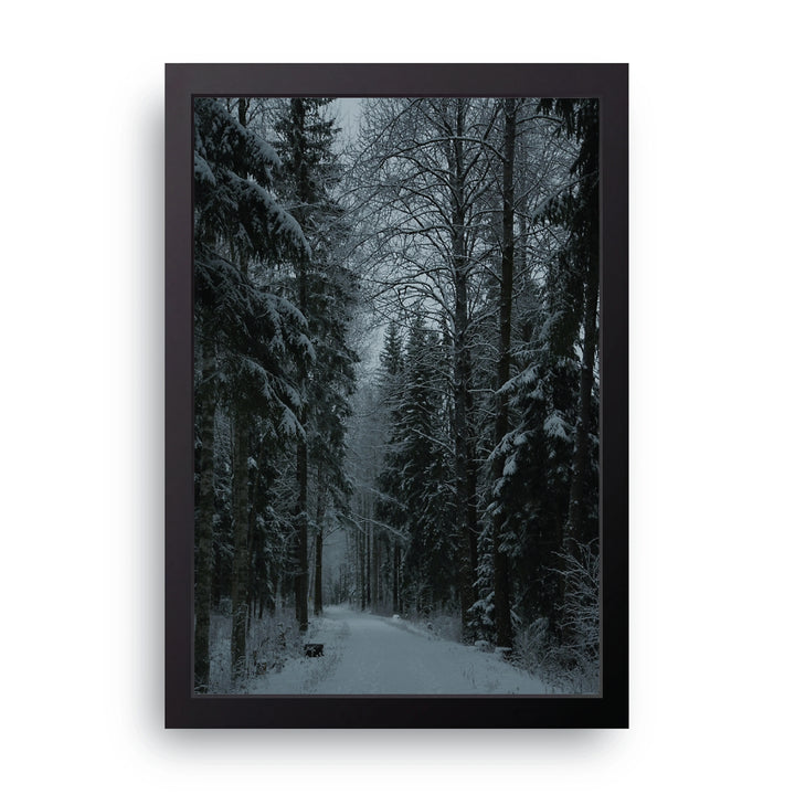 Winter Forest Frame