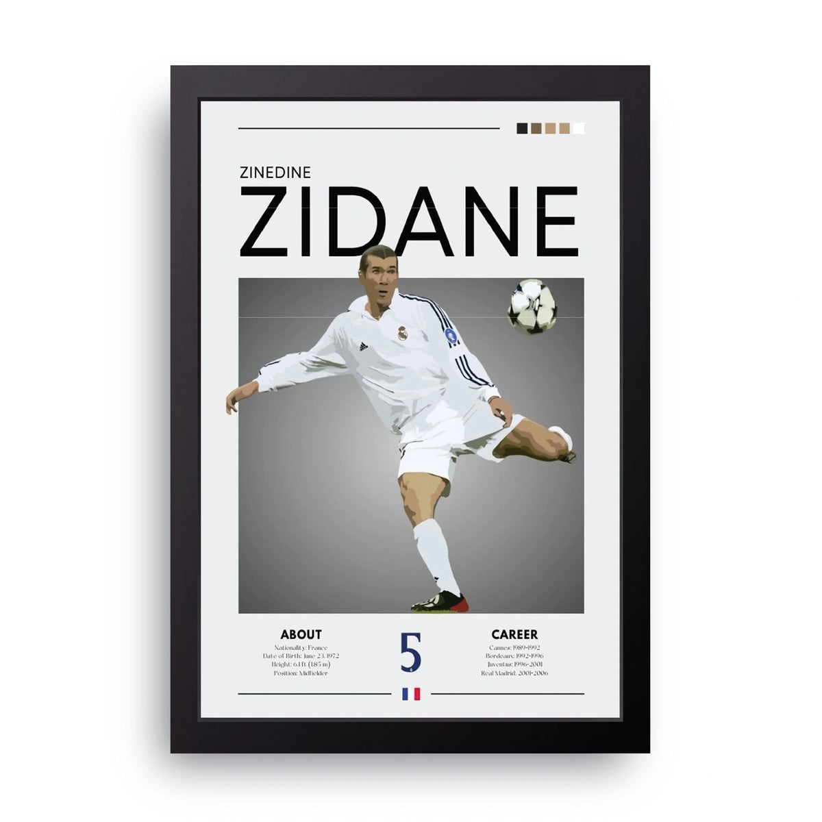 Zinedine Zidane Frame