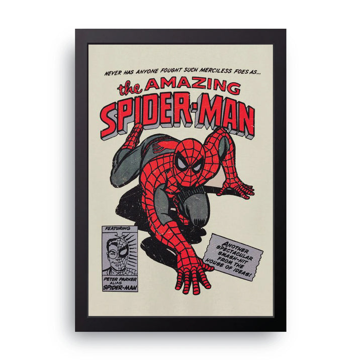 Amazing Spider-Man Frame