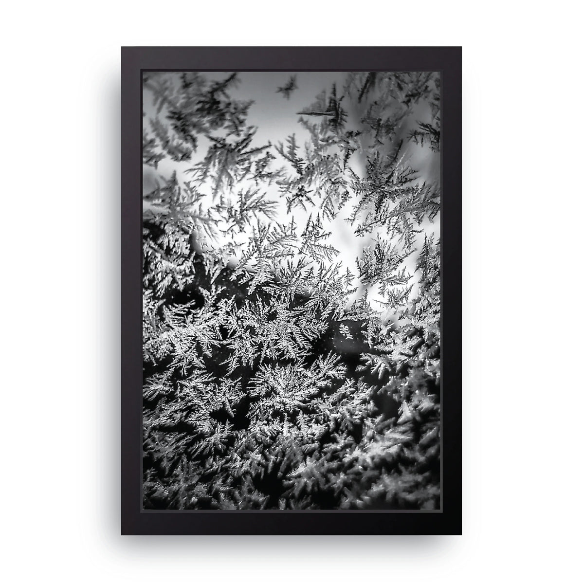 Frost Frame