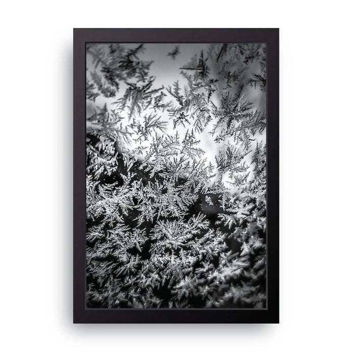 Frost Frame
