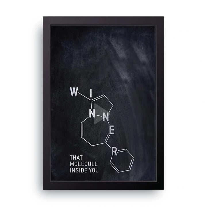 Winner Molecule Frame