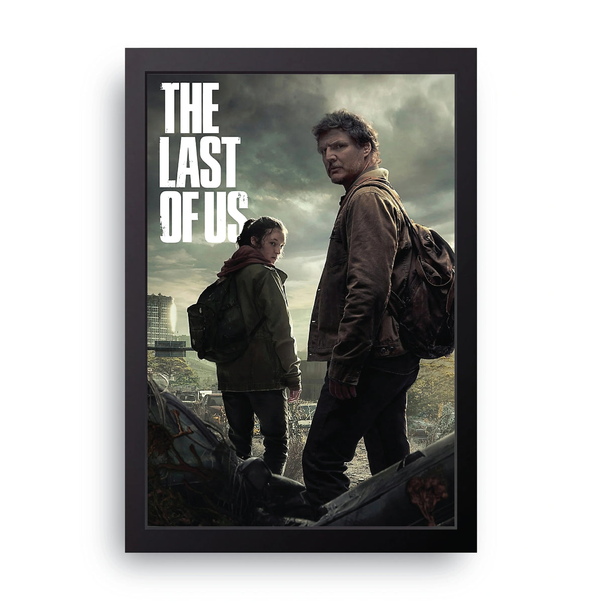 The Last Of Us Frame