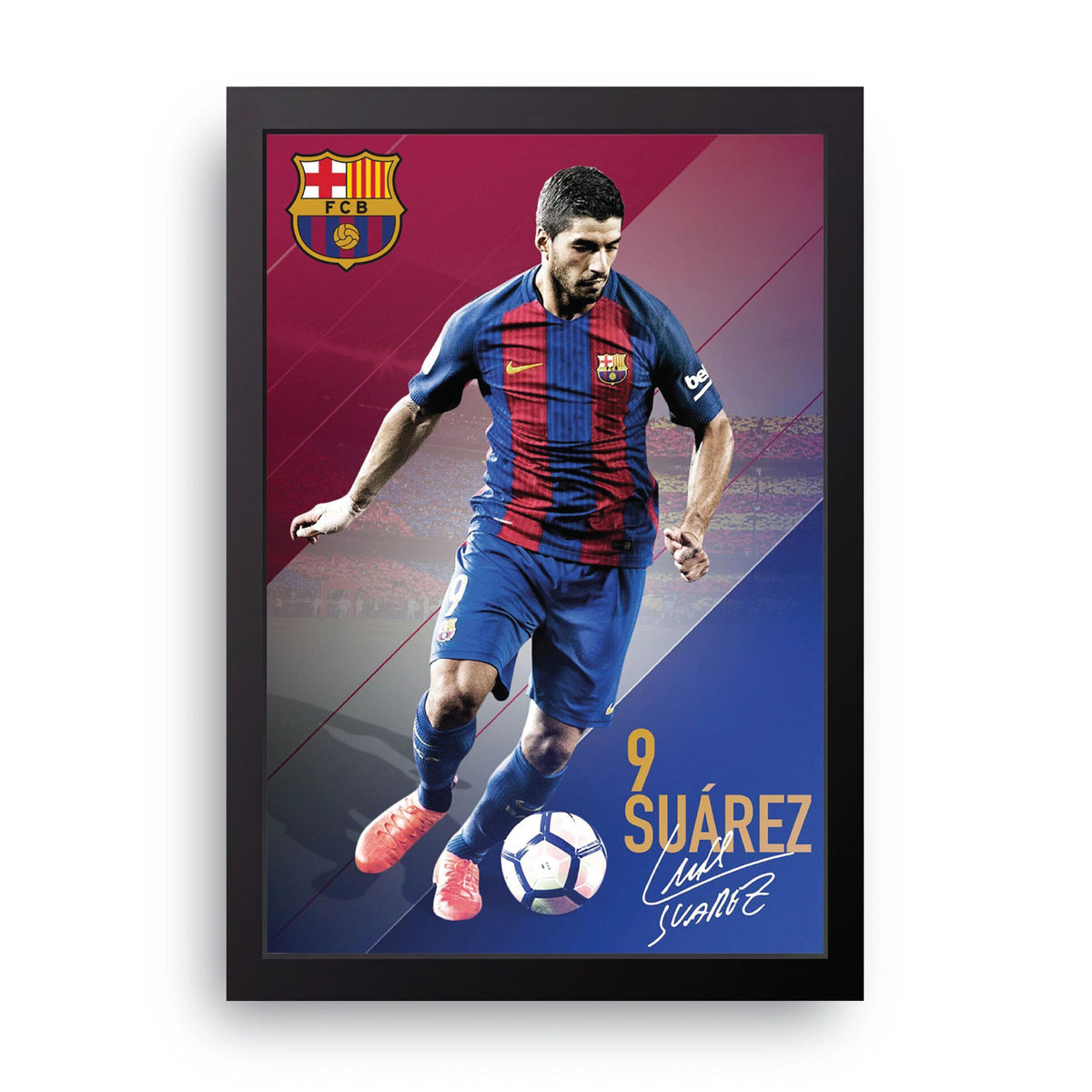 SUAREZ Frame