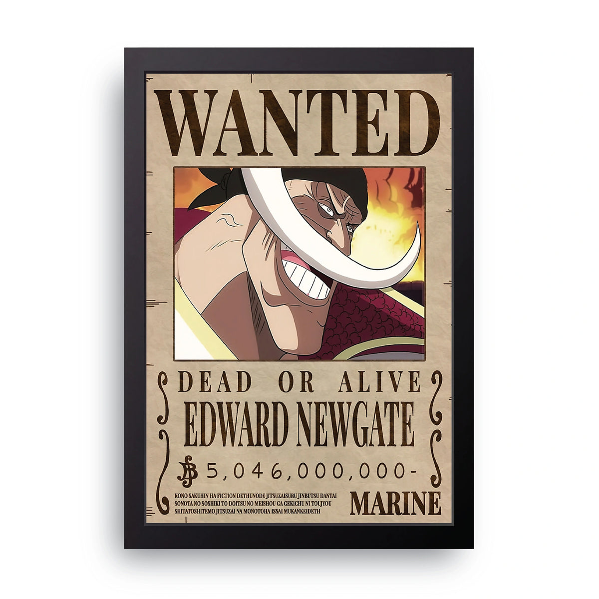 ONE PIECE (2) Frame