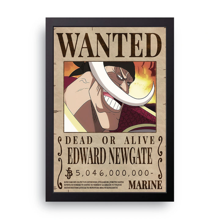 ONE PIECE (2) Frame