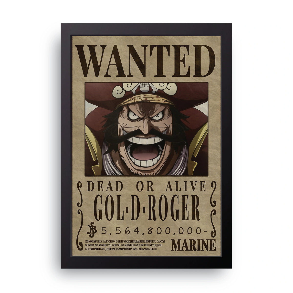 ONE PIECE (9) Frame