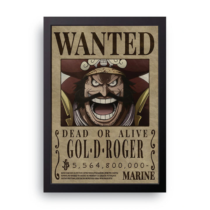ONE PIECE (9) Frame