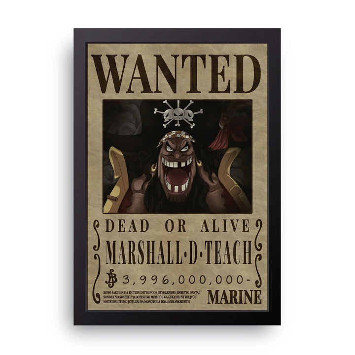 ONE PIECE (14) Frame