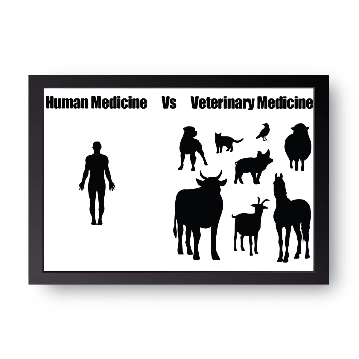 Human Vs Vet Frame