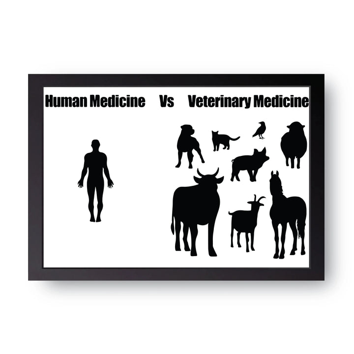 Human Vs Vet Frame