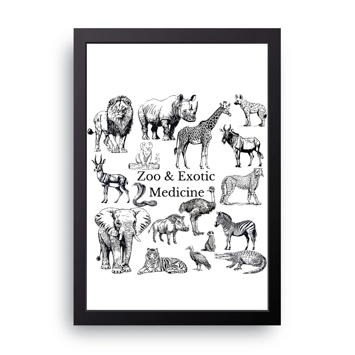 Zoo Medicine Frame