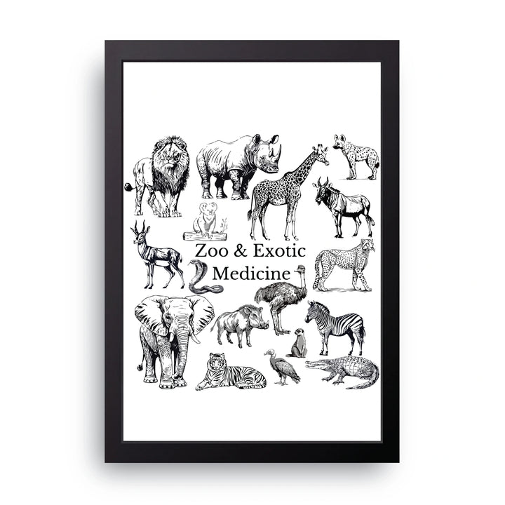 Zoo Medicine Frame
