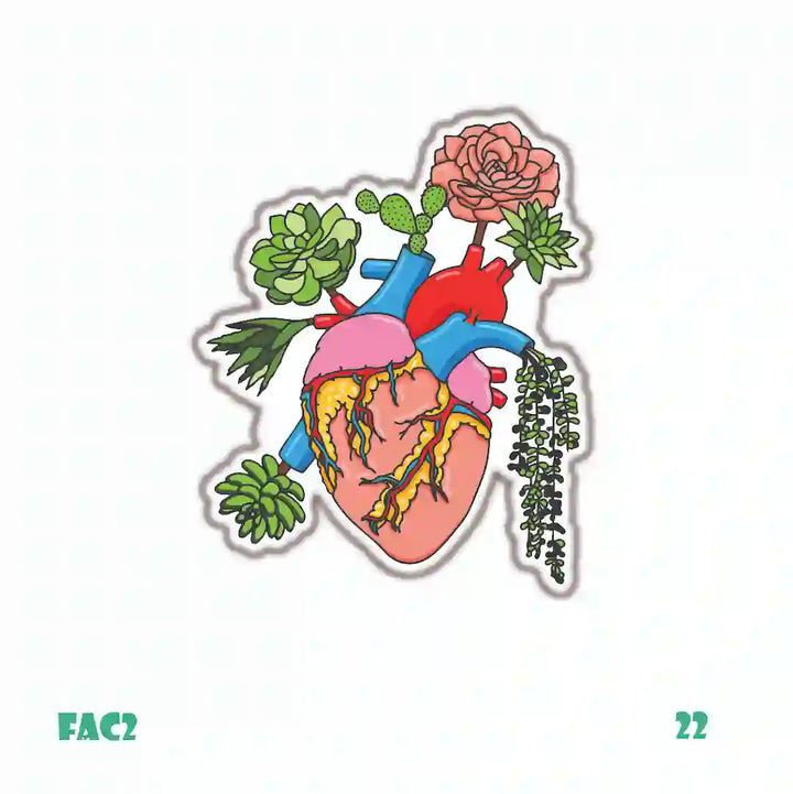 MEDICINE [2]