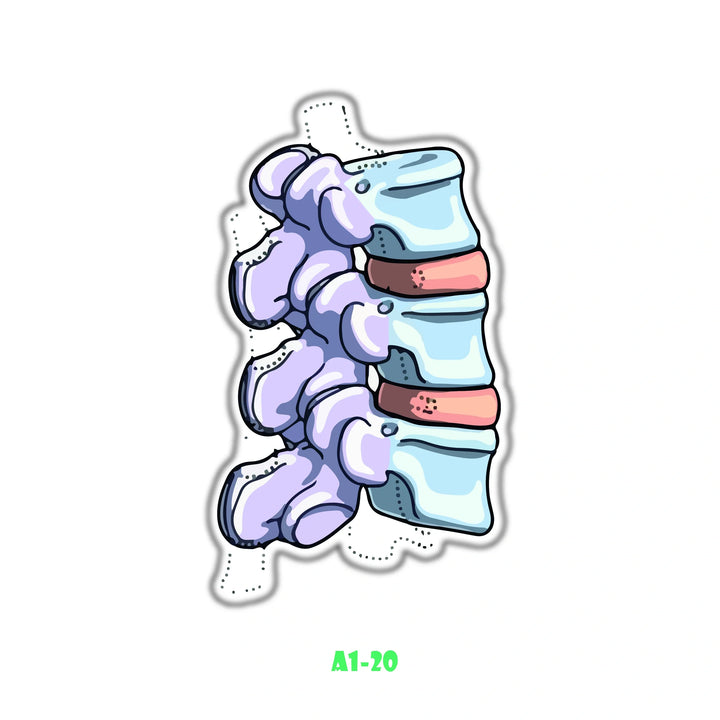 BACKBONE