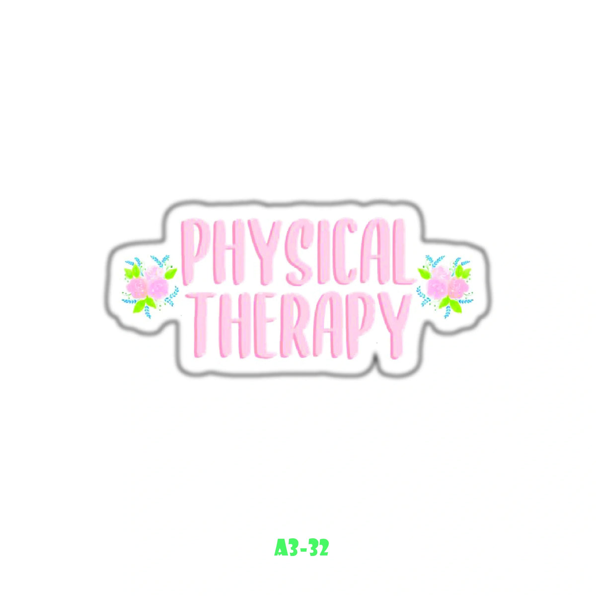 PHYSICAL THERAPIST