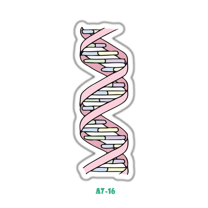 DNA
