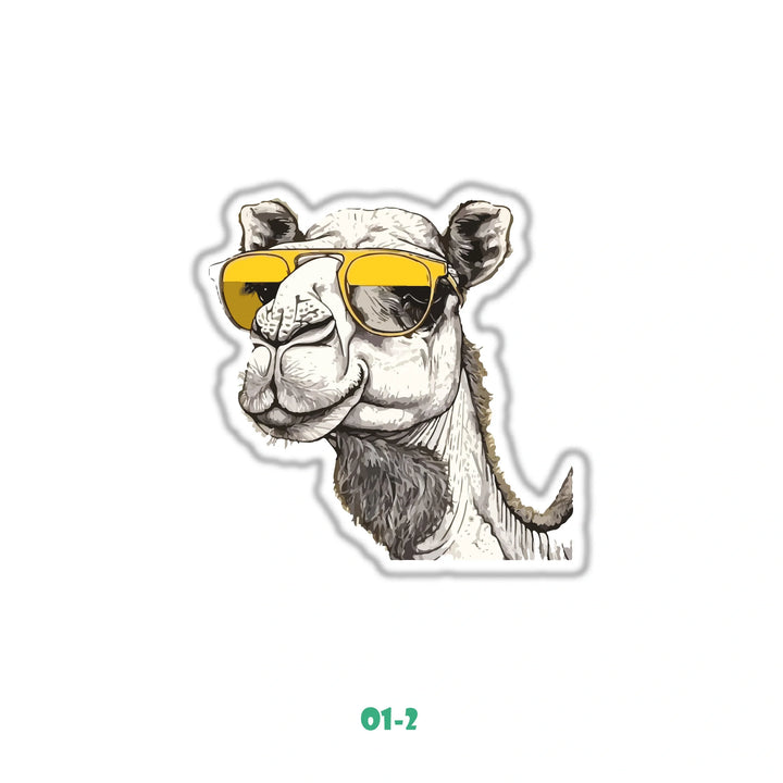 COOL CAMEL