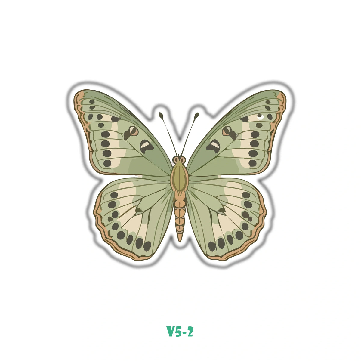 OLIVE GREEN BUTTERFLY