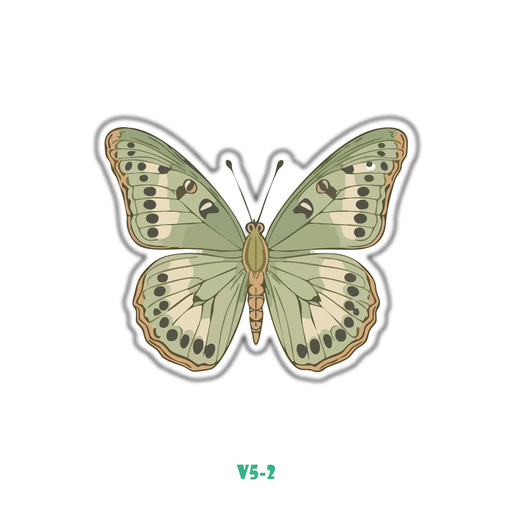 OLIVE GREEN BUTTERFLY